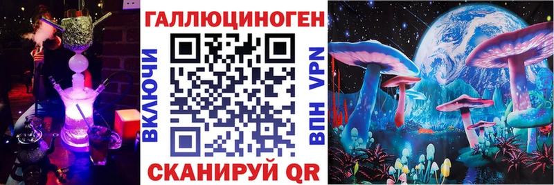 магазин  наркотиков  Междуреченск  МЕГА   Галлюциногенные грибы Psilocybe 