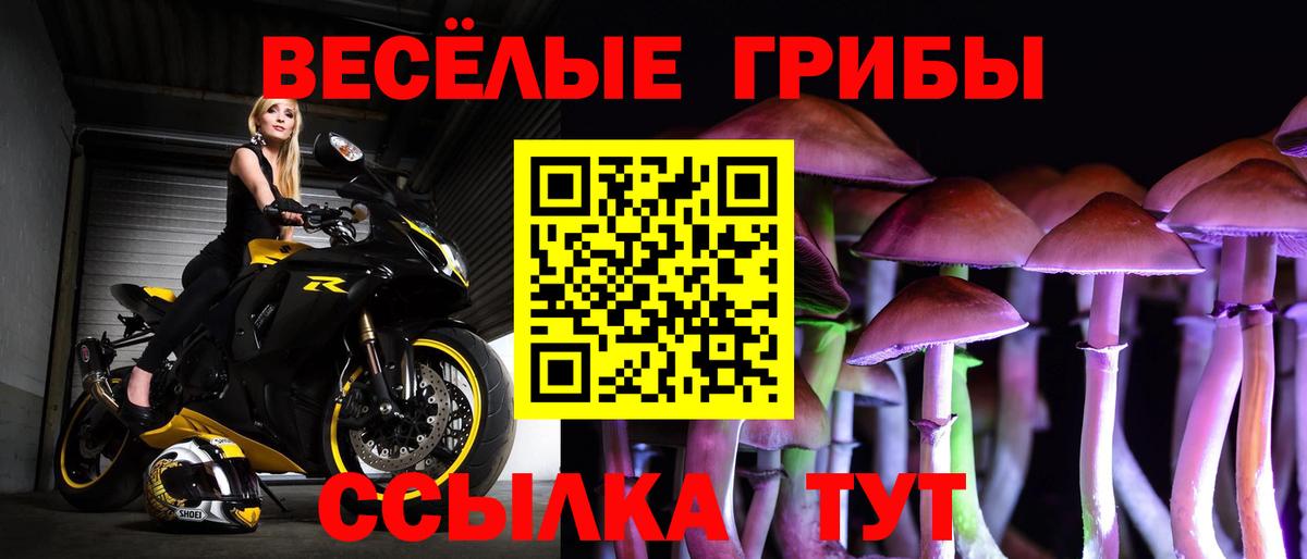 Псилоцибиновые грибы Cubensis  Вход с VPN  что такое   Междуреченск 